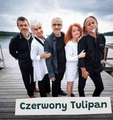 flowfest projekty grafik artyści_1